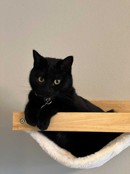 Legowisko hamak dla kota ścienna półka wspinaczka