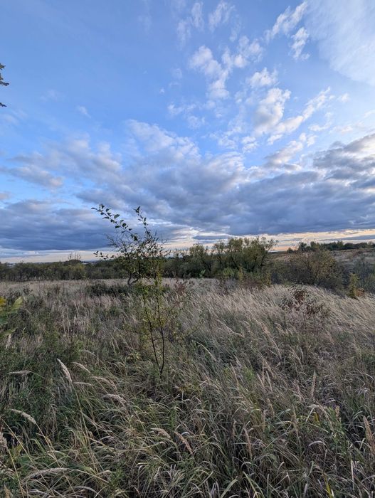 38 сотих в Угринові під маєток або бізнес! 6 км до Франківська! _RR