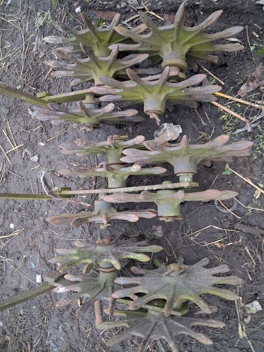 ежики для прополки кукурудзи буряка