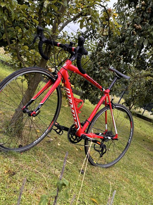 Specialized allez prosto po serwisie