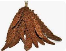 Proso Senegalskie czerowne  1 kg ( 1 klasa)