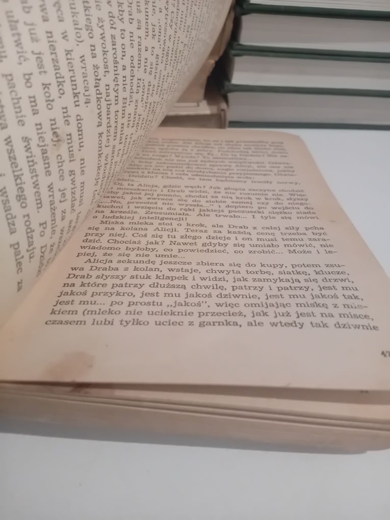 Zofia Chądzyńska Przez Ciebie drabie
