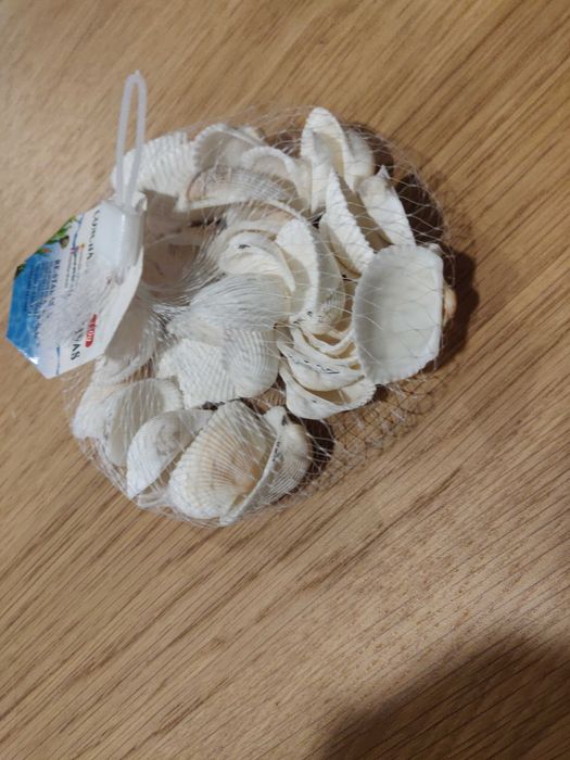 Conchas decorativas para aquário ou outros fins