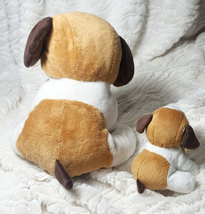 Dwa pieski Mamusia i szczeniaczek Toblerone