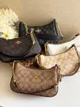Жіноча сумка Coach Teri Shoulder Bag | тренд 2025
