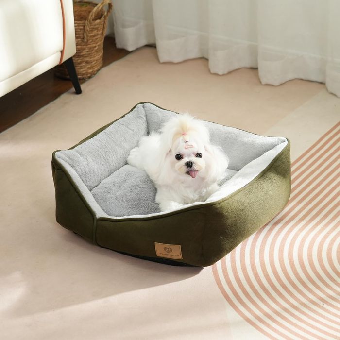 Joy of Living Duże Legowisko dla Psa Wygodne Ciepłe 65 x 50 cm Zielone