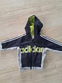 Bluza dziecięca Adidas r.74