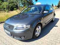 Audi A3 1.6 MPI, 102 KM, sprawna klima, elektryka, bardzo ładna, zarejestr.