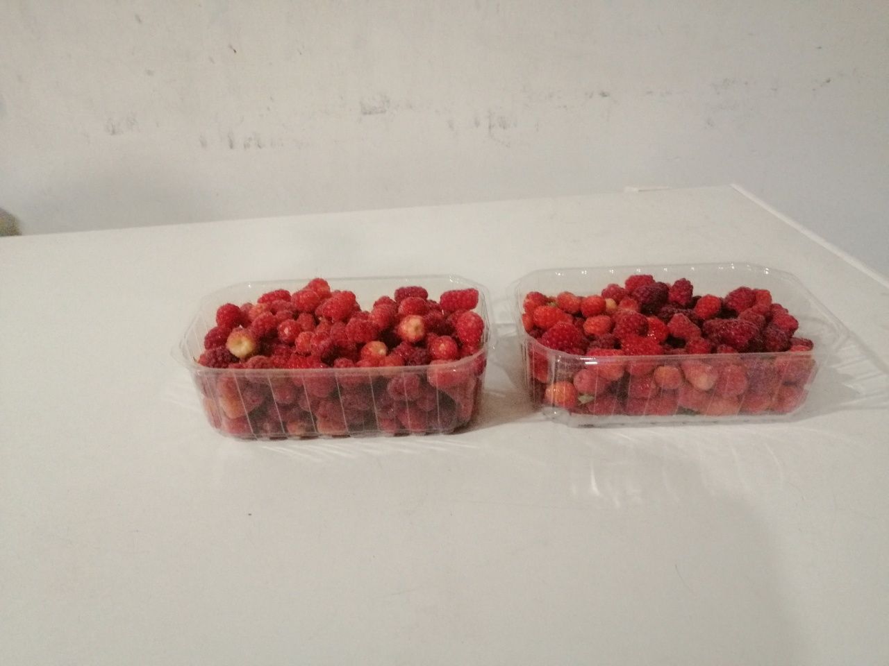 Framboesas caseiras 500g