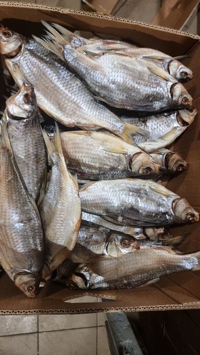 Риба, Копчена, В'ялена,Свіжоморожена опт , великі обйоми лящ,плотва,..