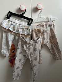 Zestaw spodni niemowlęcych H&M Coccodrillo Sinsay 68-74