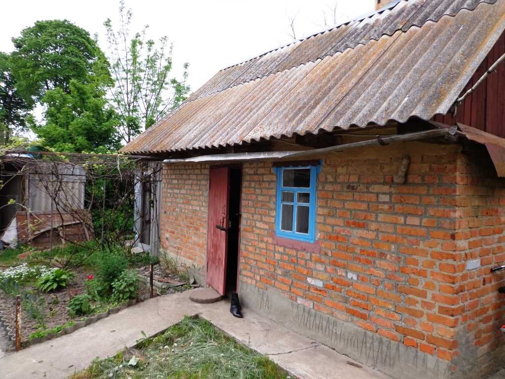 Хата в селі Іванківці