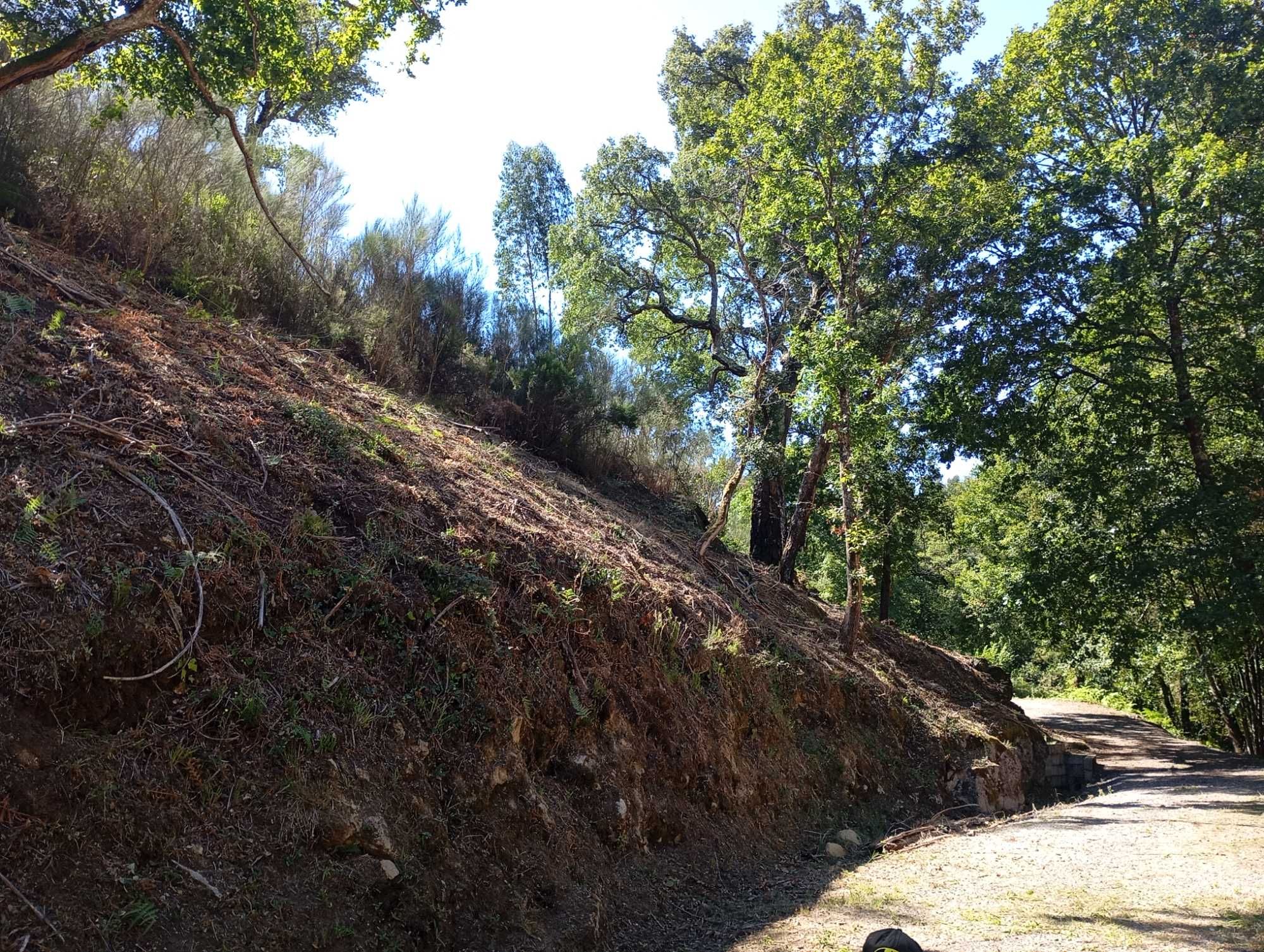 Limpeza de terrenos