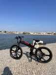 Bicicleta elétrica SamBike
