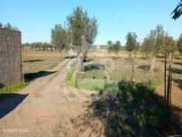 Terreno Rústico em Reguengos de Monsaraz