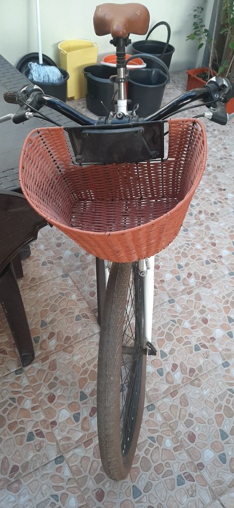 Bicicleta com cesto