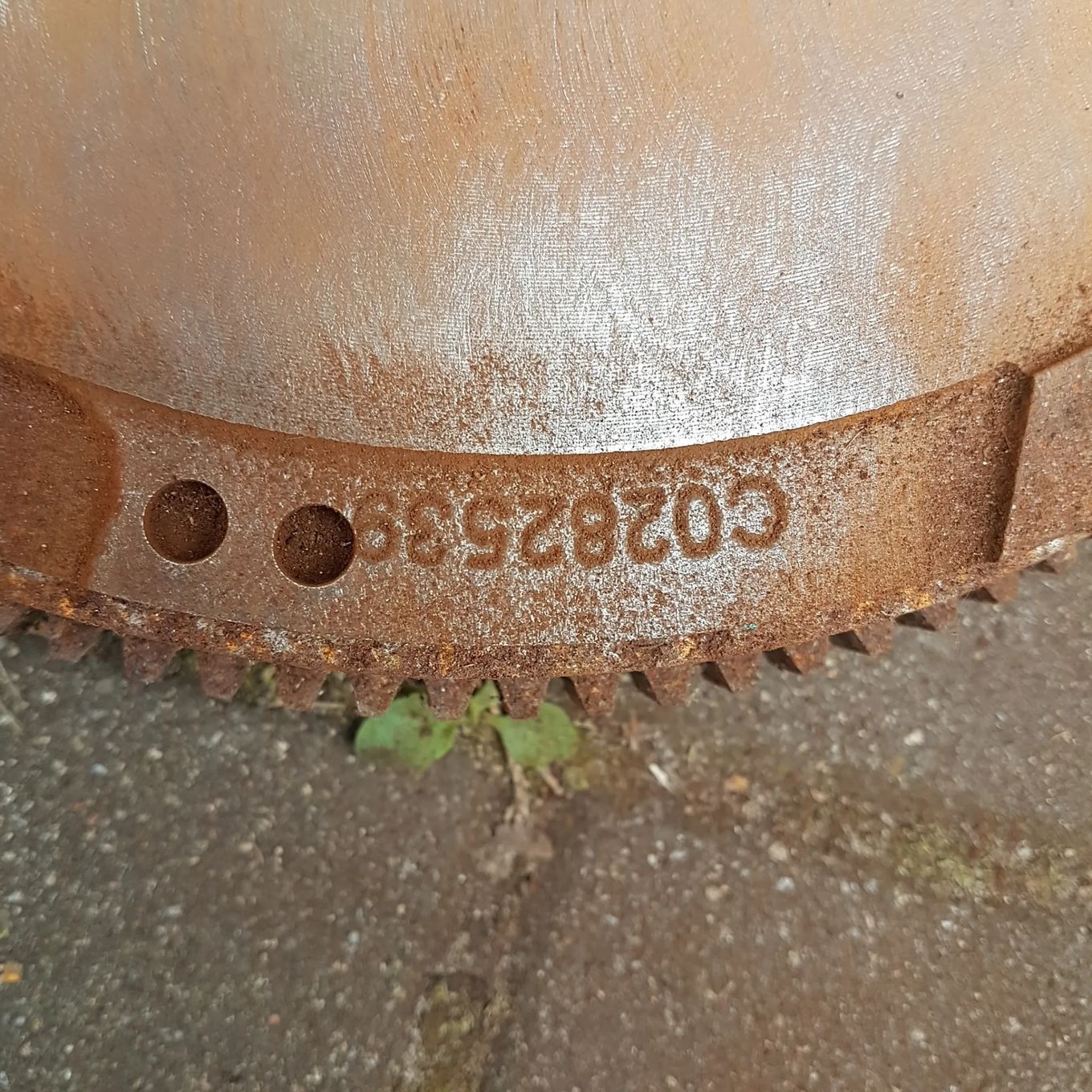 dwumas dwumasa koło zamachowe sprzęgło doblo punto mito bravo II stilo scudo multipla brava 1.9 8v 16v jtd
