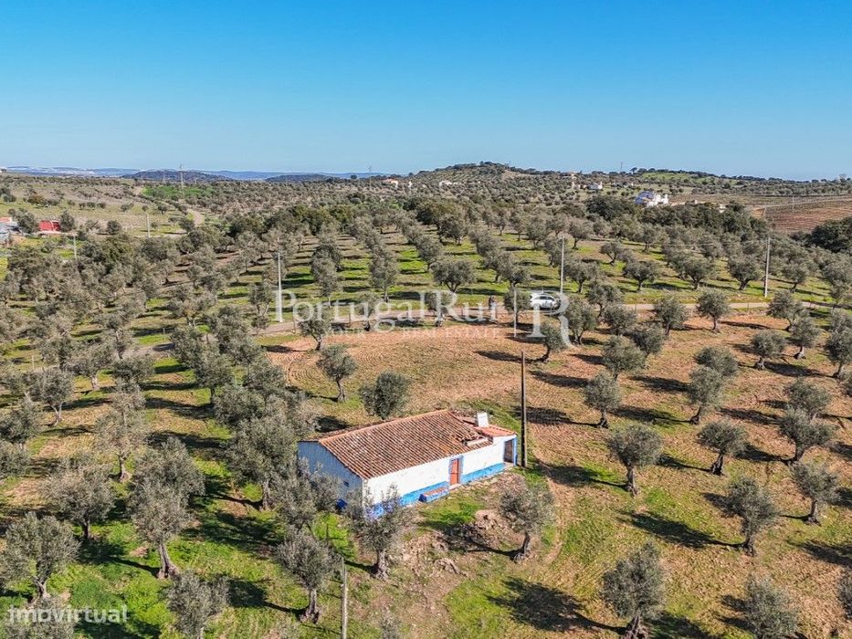 Monte alentejano para recuperar
