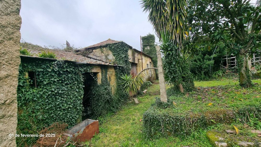 Quinta para restaurar 3.000m a 3km praia fluvial Cabeça Santa Penafiel