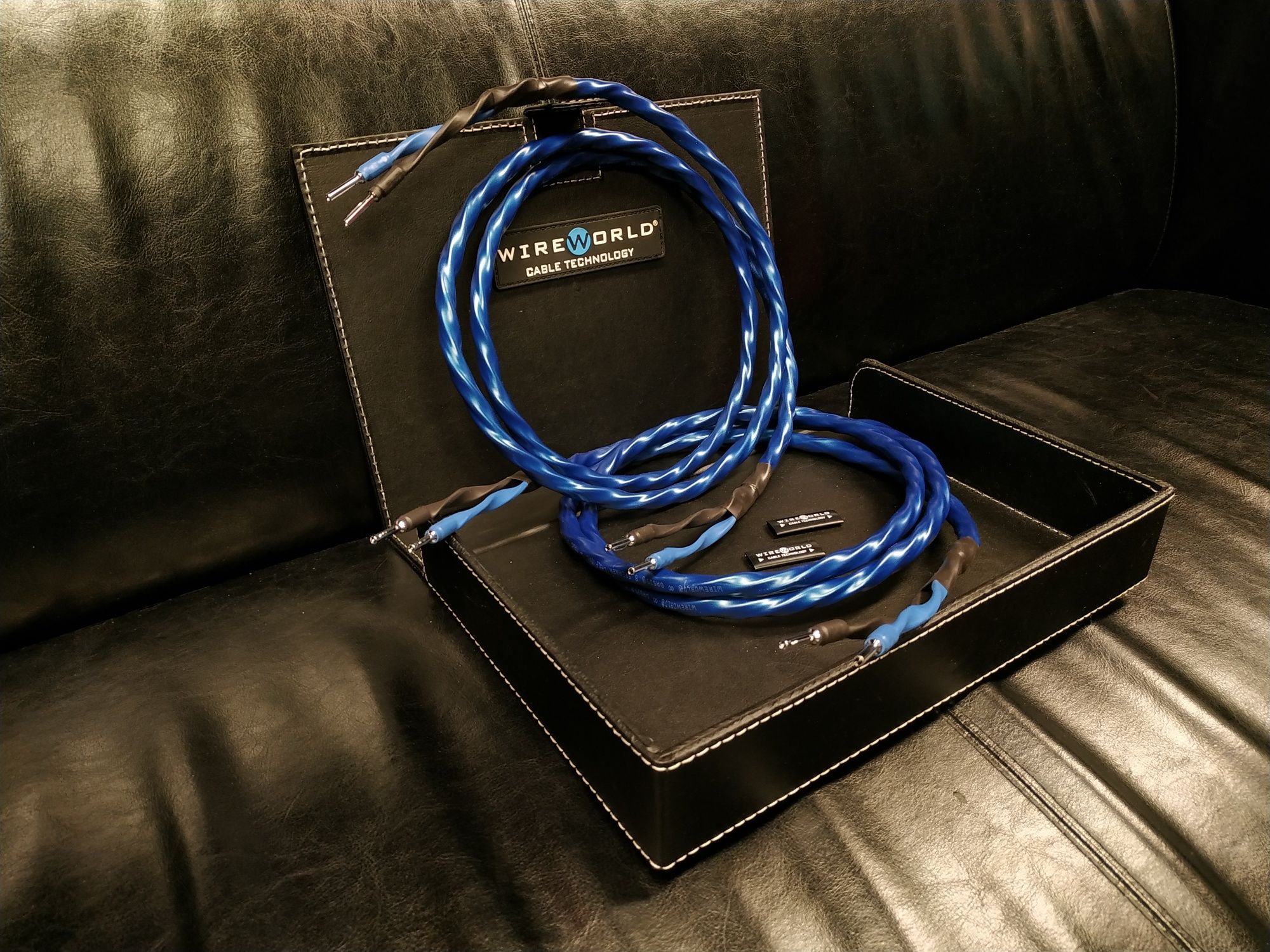 WireWorld Oasis 8 kable głośnikowe konfekcja Trans Audio Hi-Fi