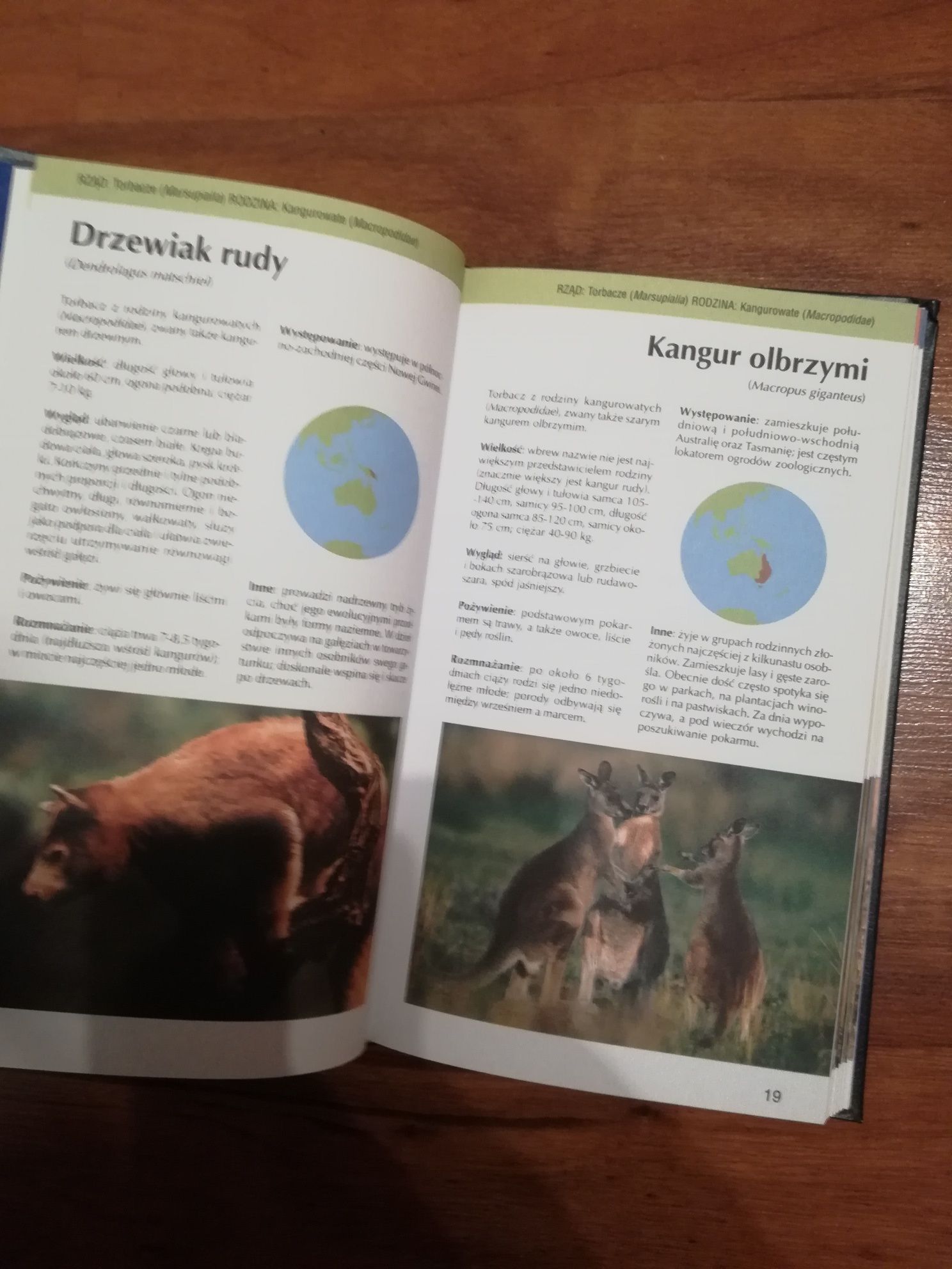 Zwierzęta świata ssaki książka atlas zwierząt leksykon