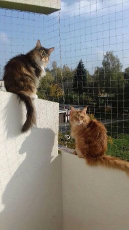 Montaż siatek balkonowych przeciwko ptakom i wypadaniu kotów
