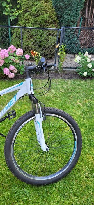Rower Romet Jelen 6.1  koło 26'' młodzieżowy