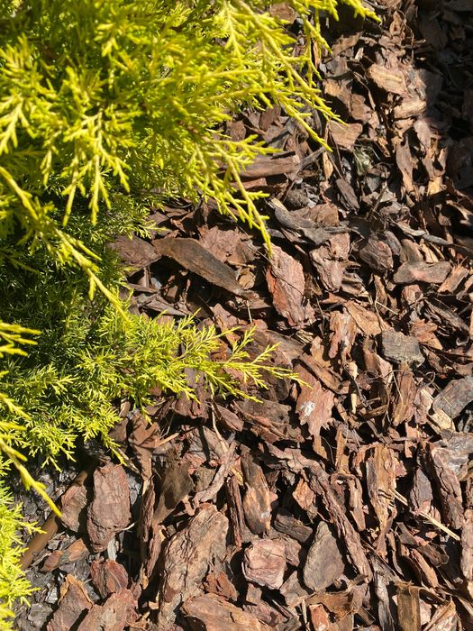 Kora sosnowa ogrodowa GRUBA I gatunek, sucha, pachnąca, dostawa gratis