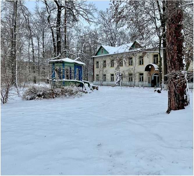 Догляд за людьми похилого віку, сиділка, доглядальниця