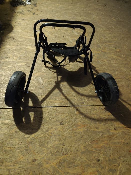 Wózek inwalidzki dla psa