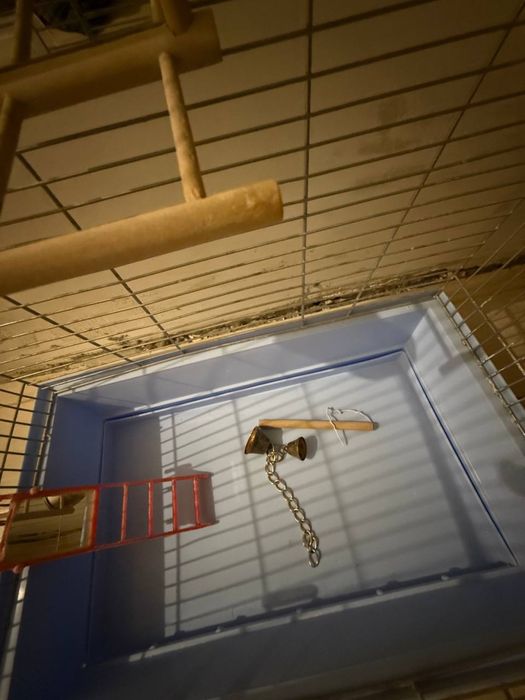 Клітка для птахів клетка для попугаев