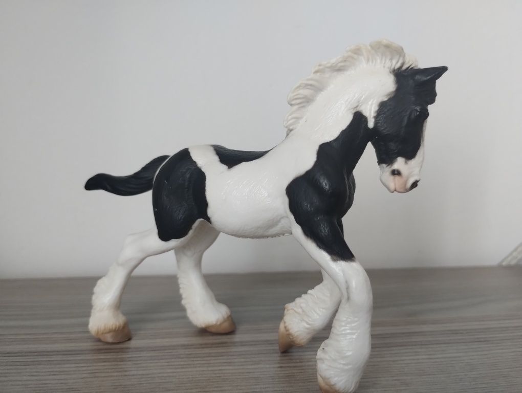 źrebak tinker collecta