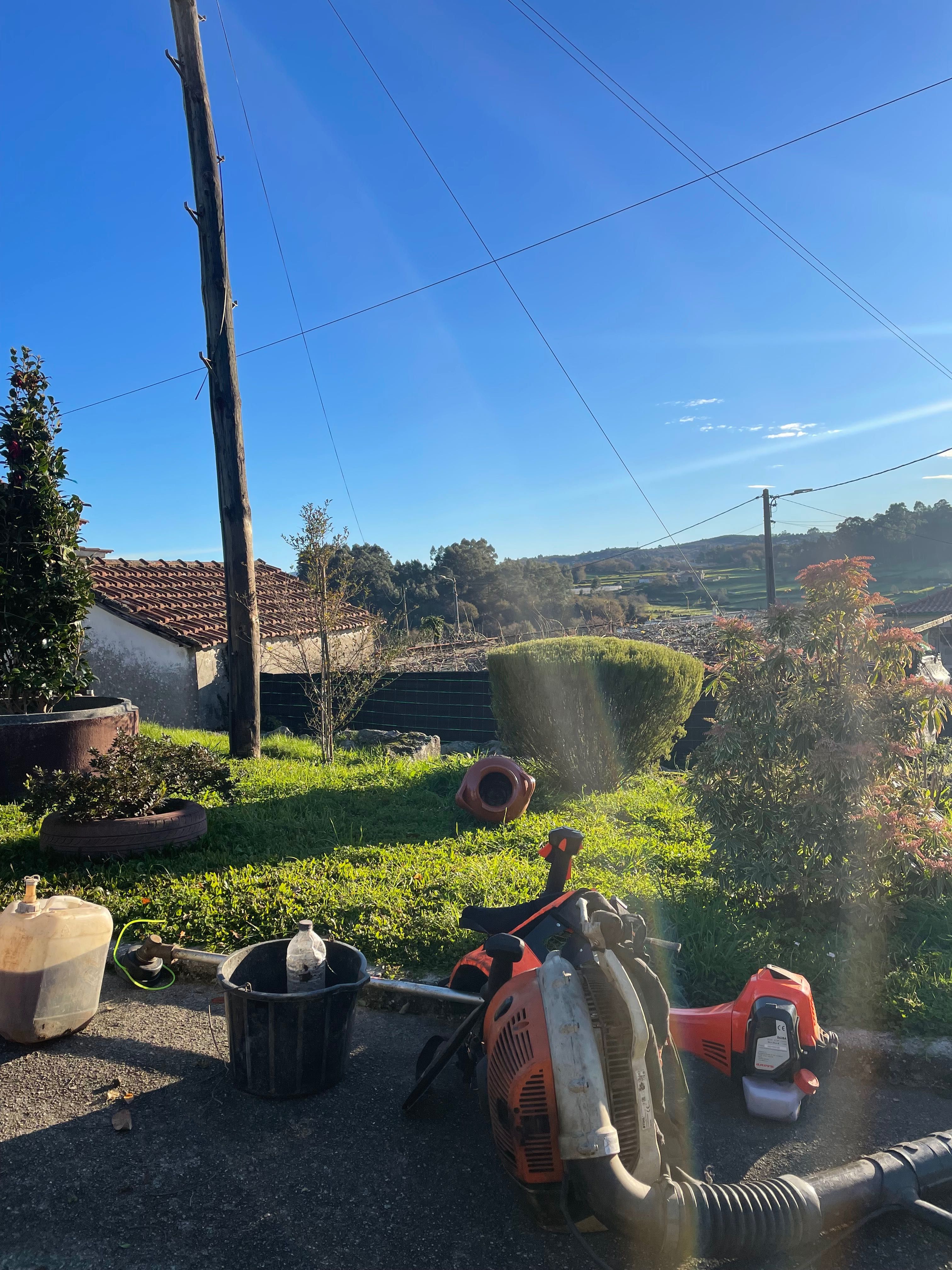 Serviços de jardinagem