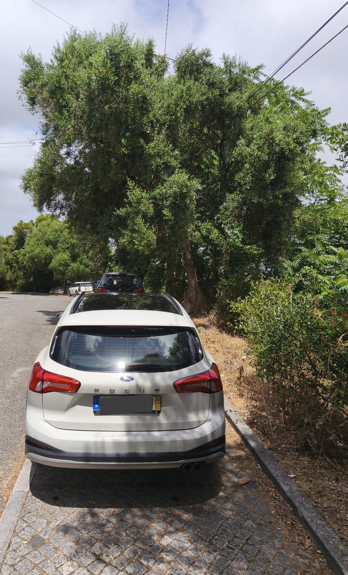 Ford Focus Active Station Tecto Panorâmico