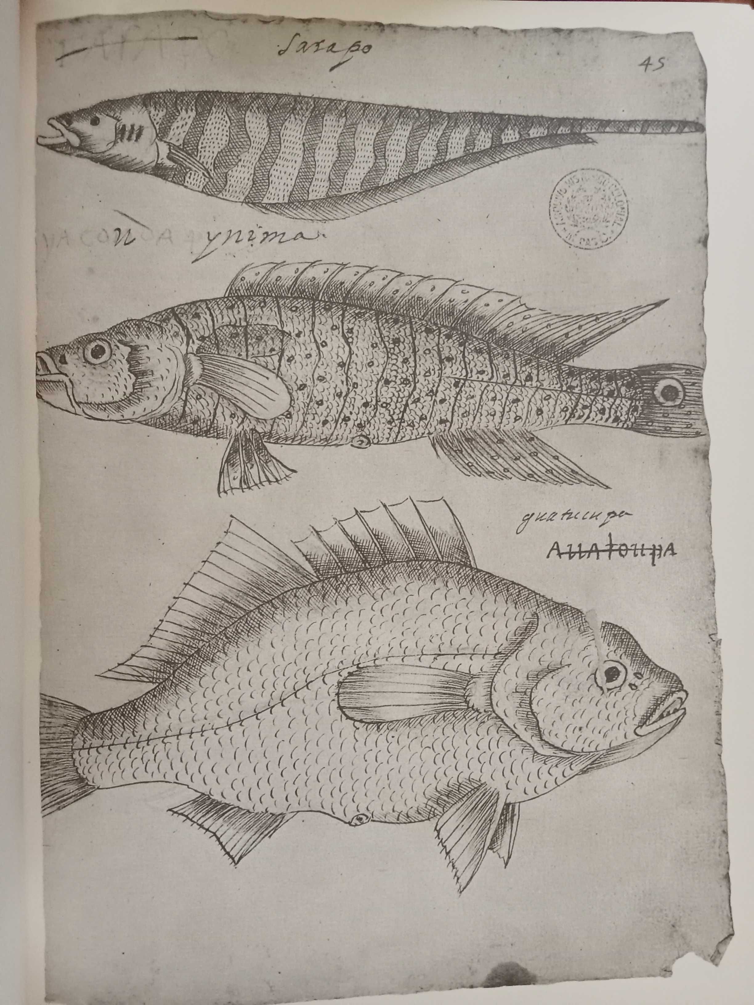 Frei Cristóvão de Lisboa - História dos animais e árvores do Maranhão