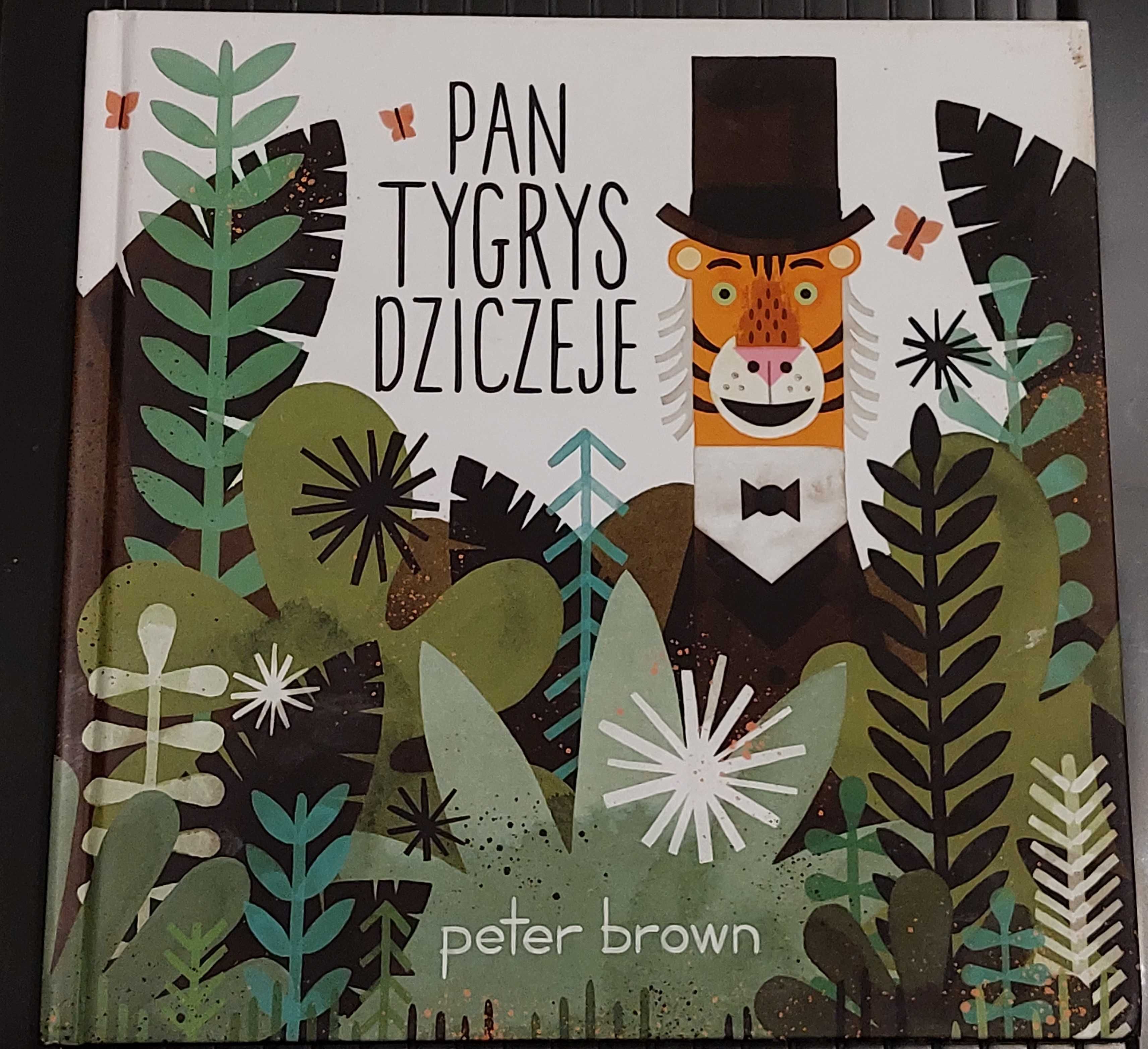 Książka dla dzieci "Pan Tygrys dziczej" Peter Brown