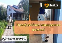 Дезинсекция и дератизация услуга уничтожение всех насекомых и грызунов