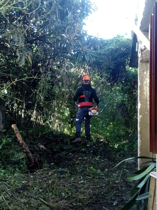 Limpeza de terrenos