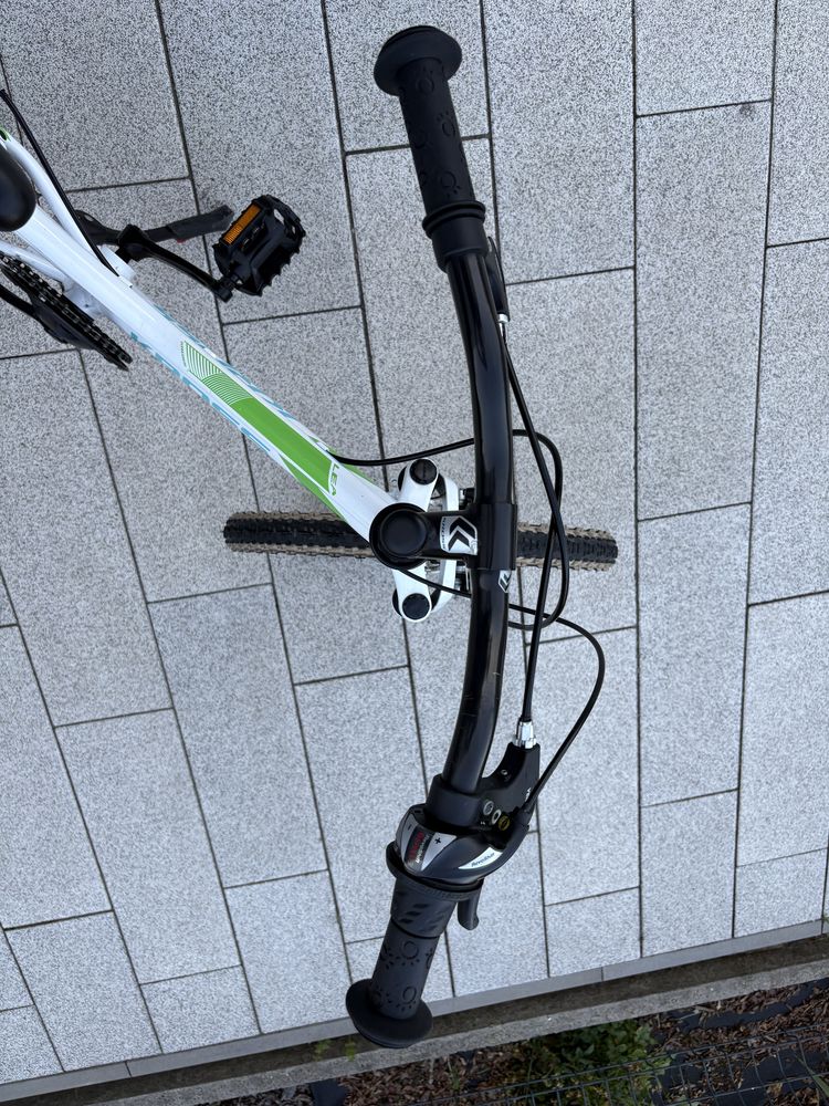 Rower Kross Lea 2.0  20”