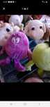 Vários bonecos de peluche.