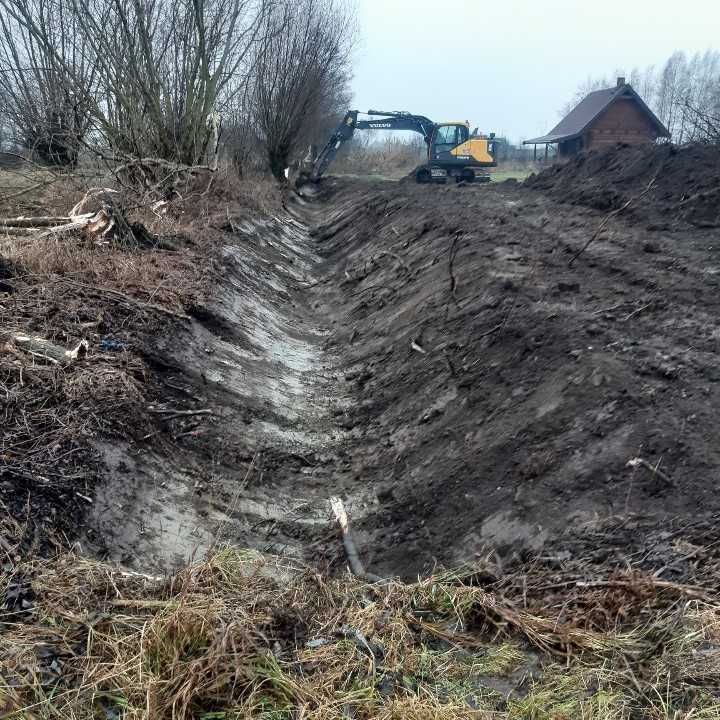 Kopanie stawów czyszczenie melioracje karczowanie drzew korzen koparka