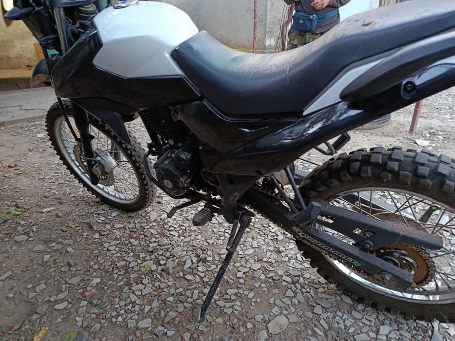 Продам shunarei 6c