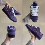 ЖИВІ ФОТО‼️ 36-45 Nike SB Dunk Lobster Concepts Purple