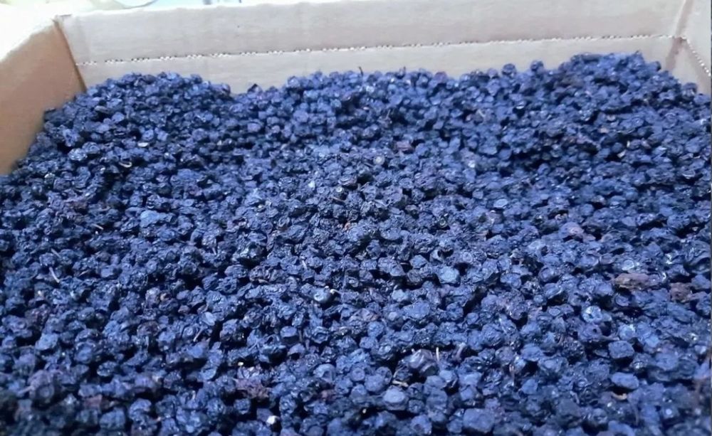 Сушені чорниці карпат