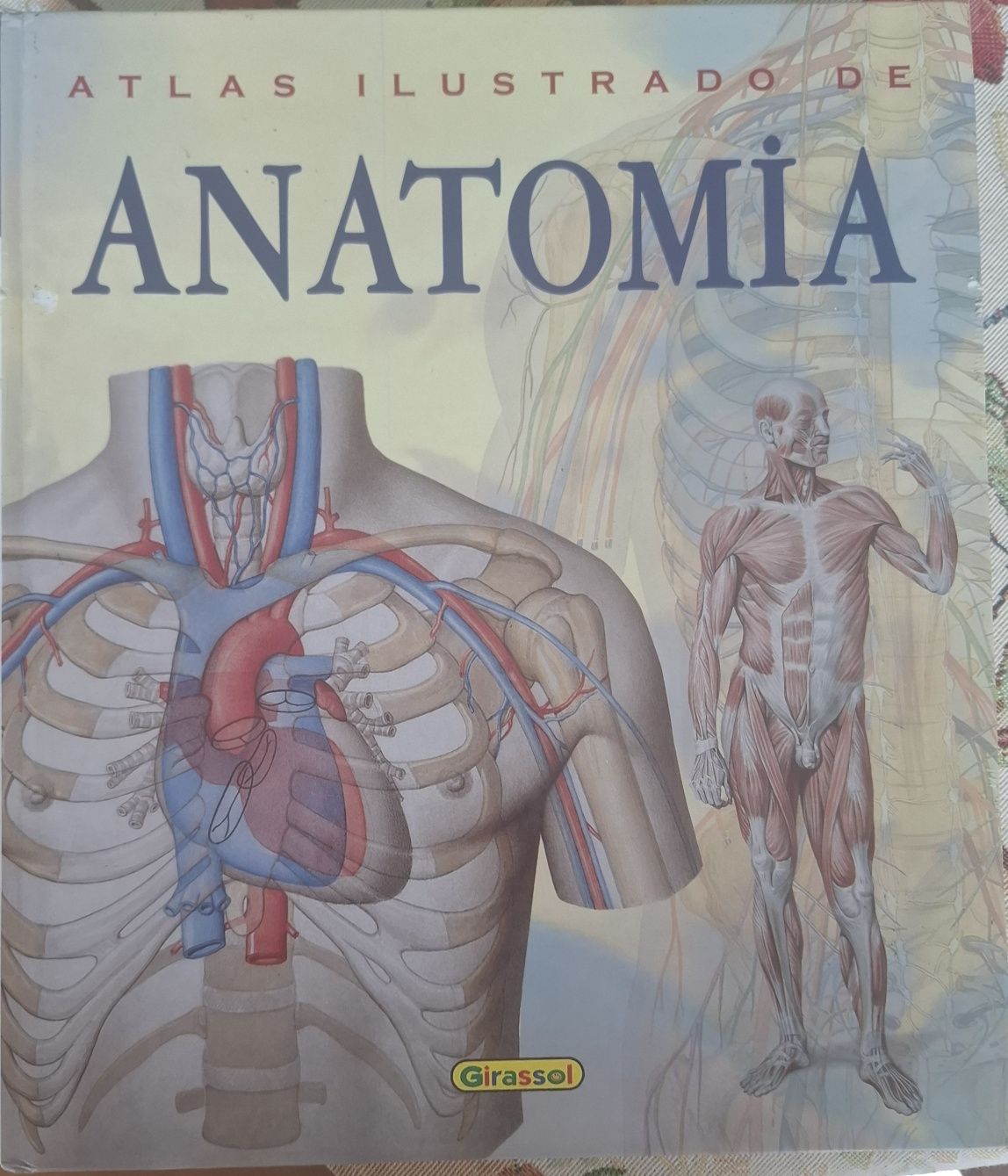 Atlas ilustrado de Anatomia
