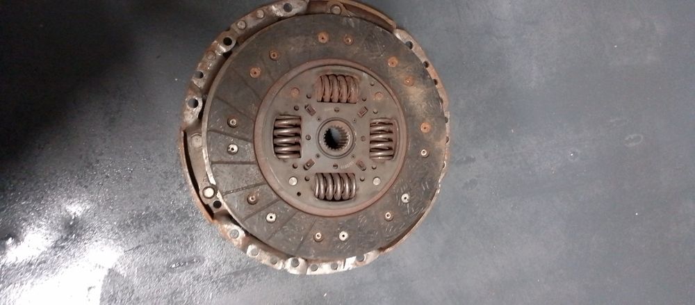 Продам щеплення віваро 1.9