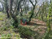 Terreno urbano com 1.700m2 em Alvados, Porto de Mós