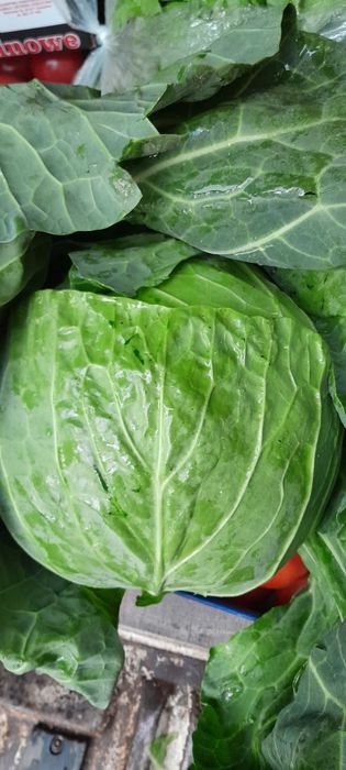 Świeże Warzywa dla Gastronomii Sklepów i Kebabów