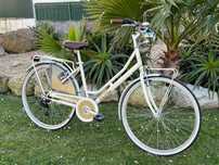 Bicicleta pasteleira moderna feminina