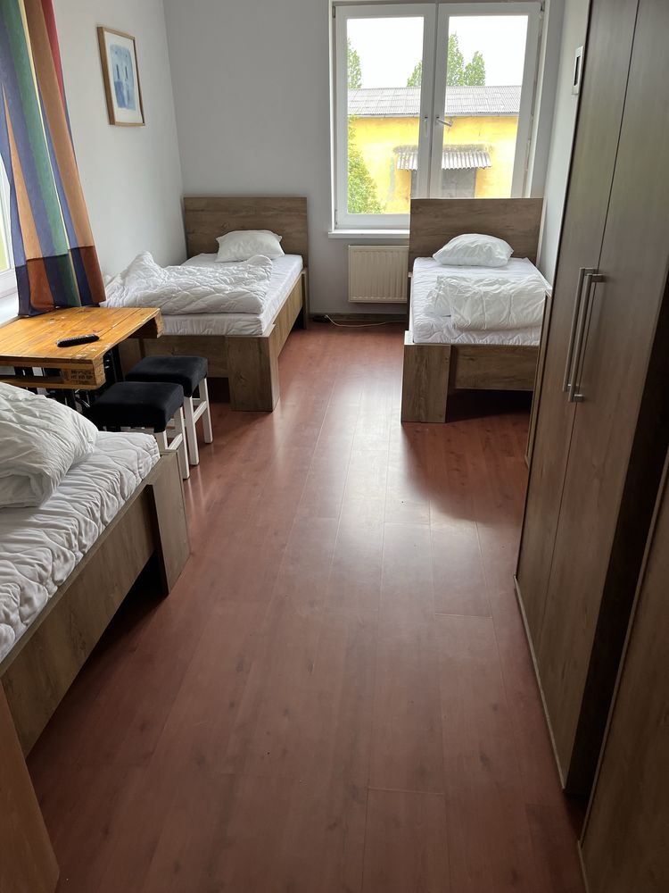 Hostel Chojnow , Legnica , Szczytnica , Krzywa